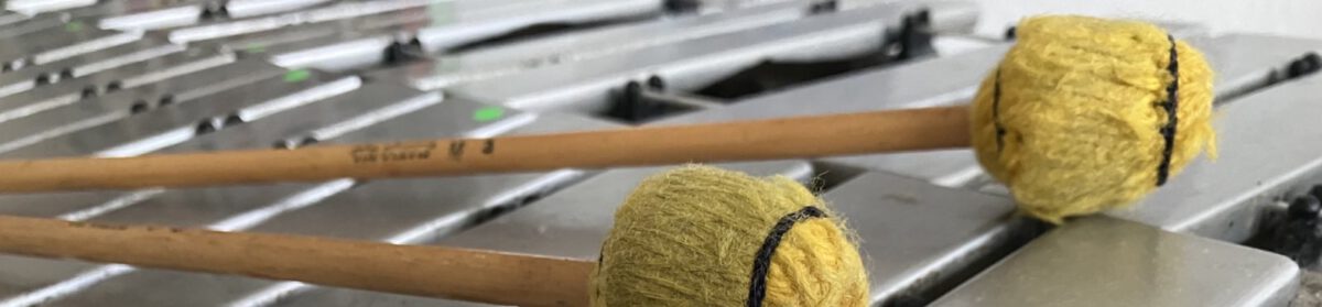 WELTMUSIK INSTITUT / WELTMUSIK e.V.